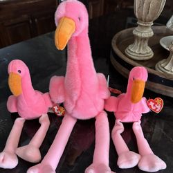 pinky the flamingo beanie baby’s With Buddy