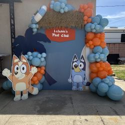 Backdrop And Balloons 