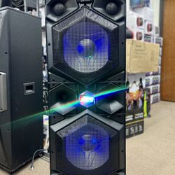 Dual 15” Professional Party Speaker w/ two mics
