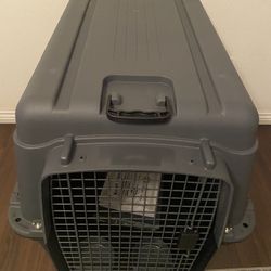 Dog Kennel 
