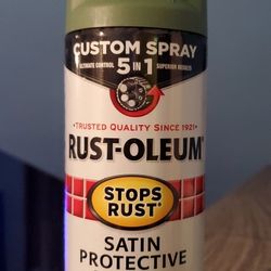 Rust-Oleum Spray (Case Of 6)
