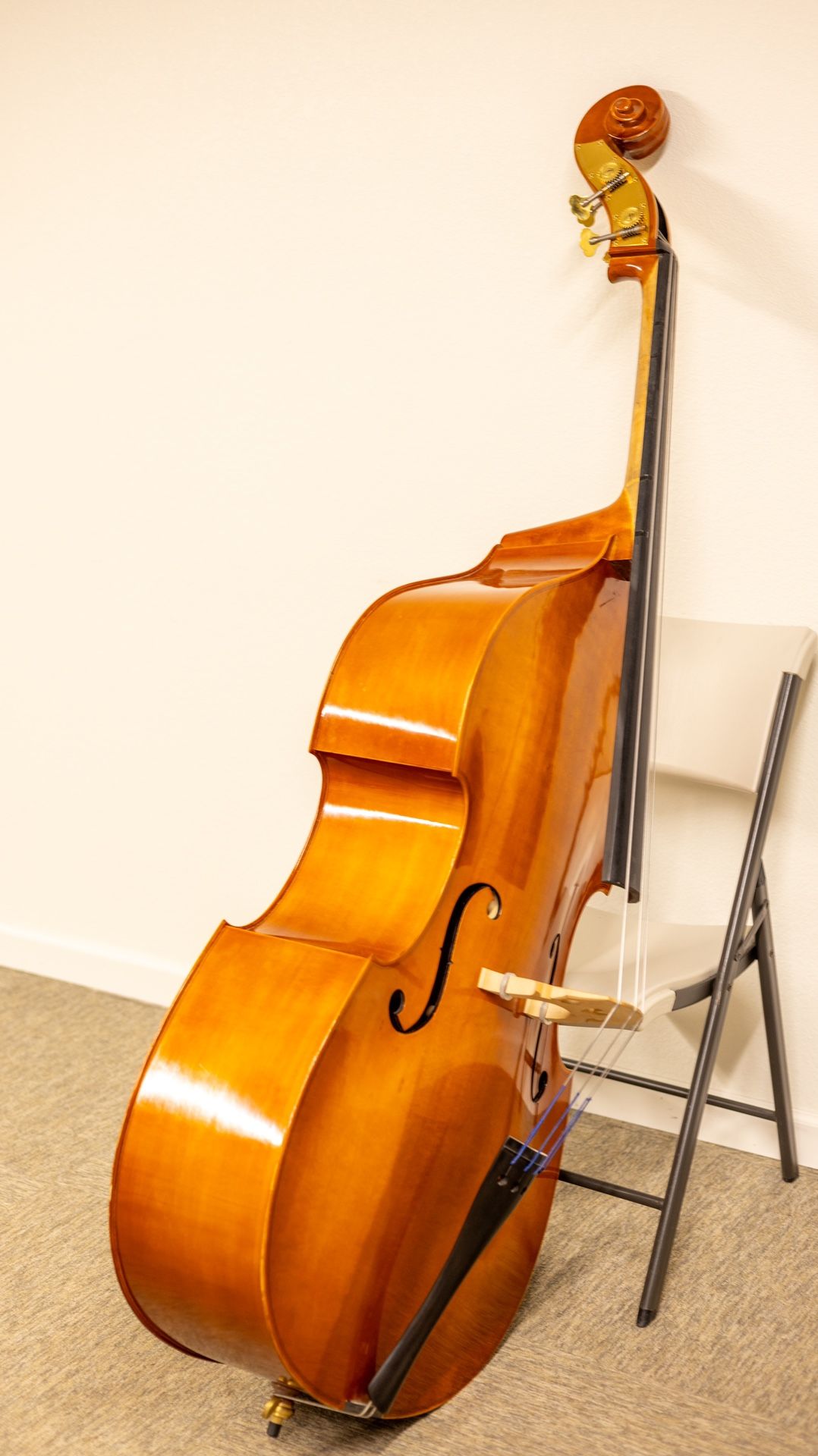 Double Bass