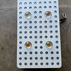 Phlizon Grow Light