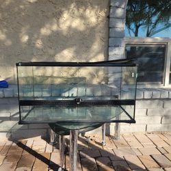 Reptile Terrarium Tank (Damaged)