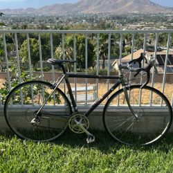 Trek 2300 Carbon 