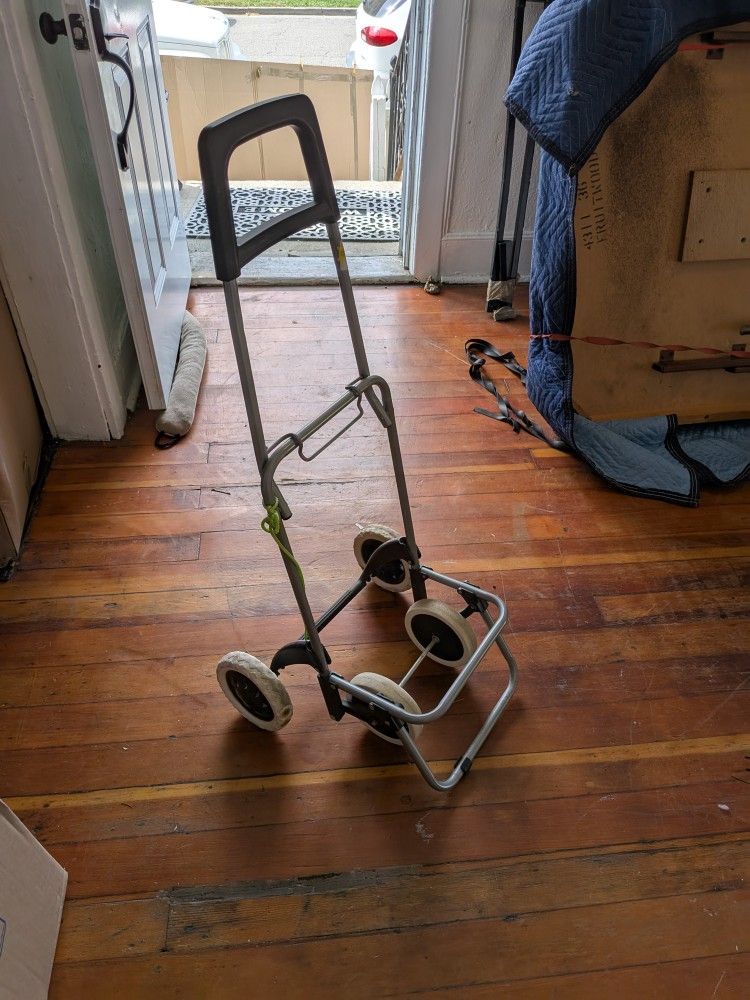 Shopping Cart (Mostly Used For Laundry