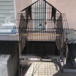 Bird Cage For Sale