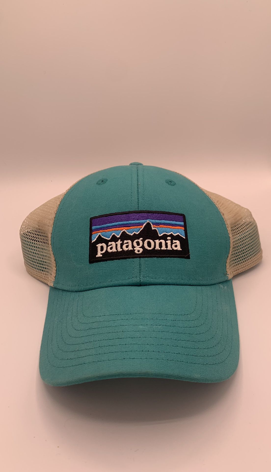 Patagonia Trucker Hats 