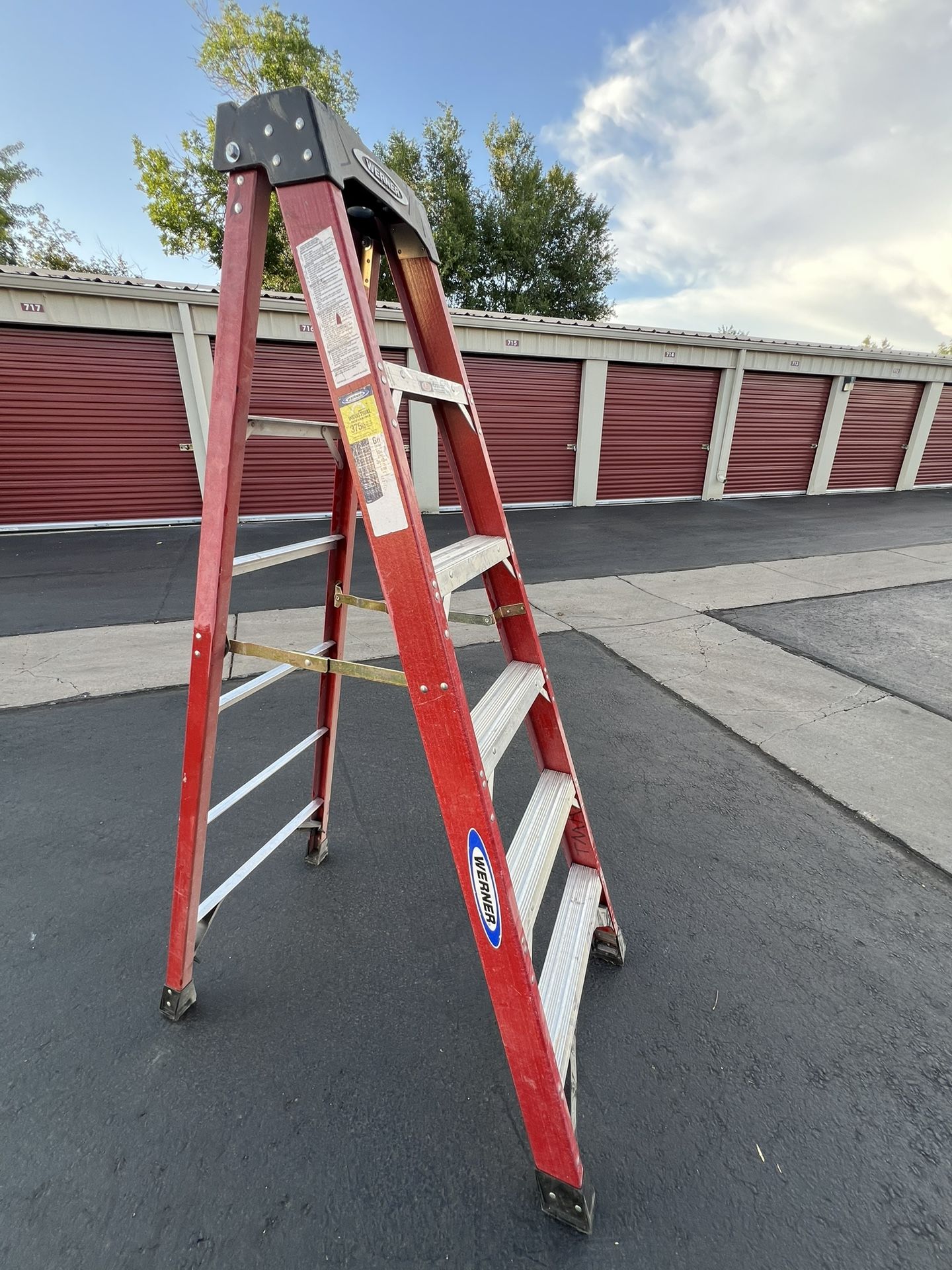 Werner 6 Foot Fiberglass Ladder