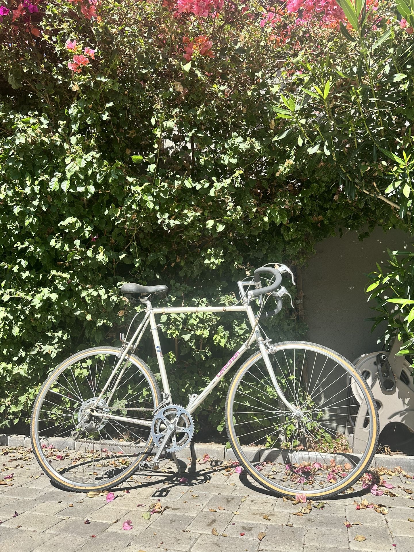 Centurion Bike; XL