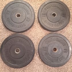 4x 45lb Weights/Plates