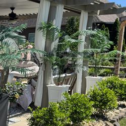 Beautiful Faux Palm Tree And Planter