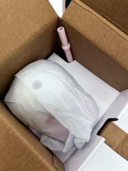 Starbucks sold out bear cup