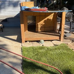 Dog House 