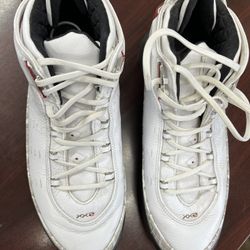 Jordan 22