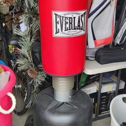 Everlast Punching Bag