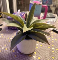 Ultra-Realistic Faux Plant