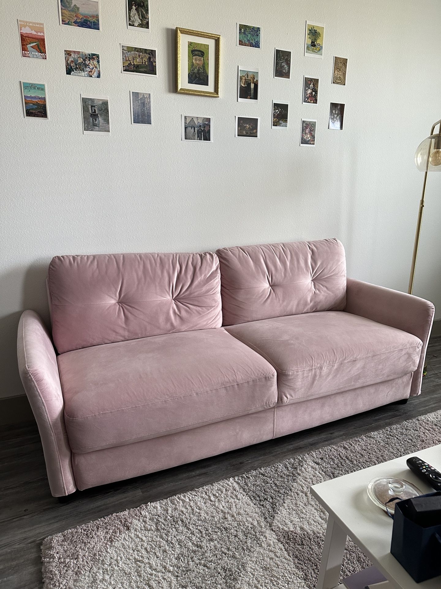 Pink Velvet Couch