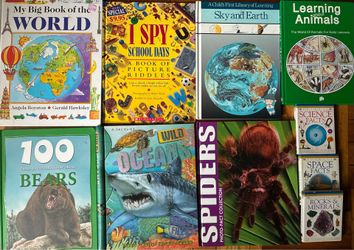 Kids books lot of 10 p/up Sheepshead Bay Brooklyn NY