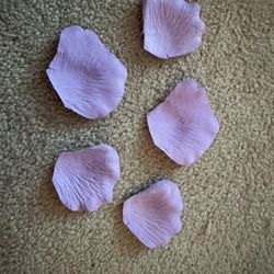 Lavender Rose Petals 