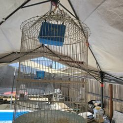 Bird Cage,jaula Para Pajaro