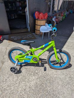 Raleigh 16" kids boys bike bicycle