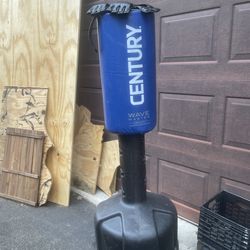 Punching bag and gloves