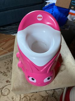Potty chair