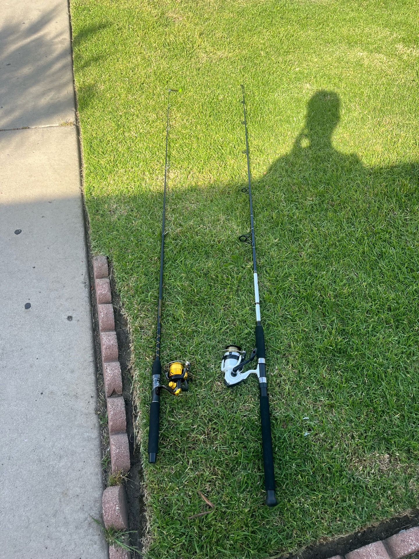 Fishing rods both for a 100
