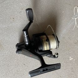 Daiwa Reel