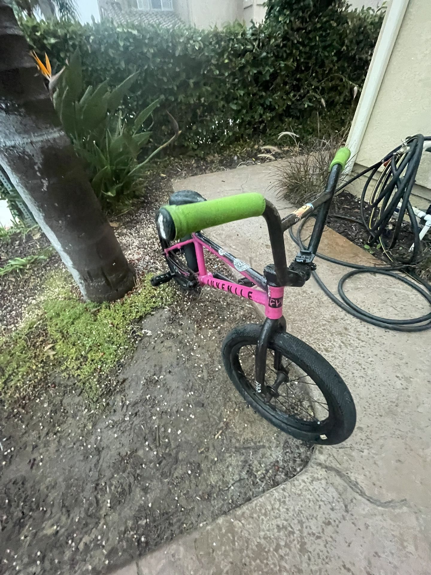 Housed Bike BMX
