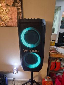 W-King Large Bluetooth Party Speaker