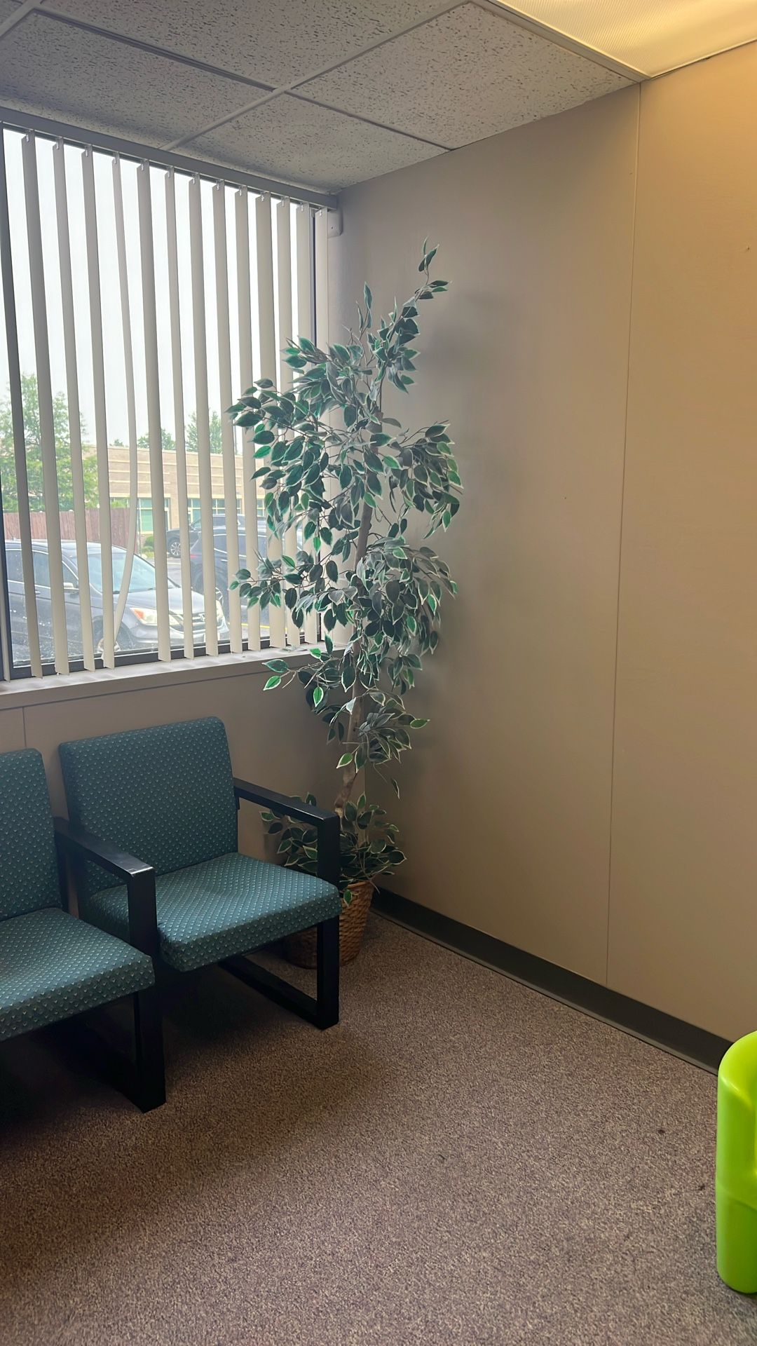 Fake Plant For Sale