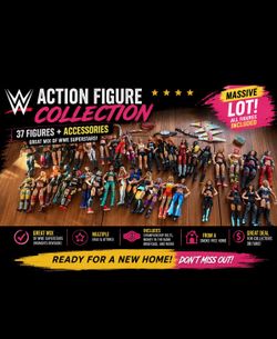 WWE FEMALE SUPERSTAR FIGURE  LOT (37+ figures)