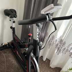 Ecoline Exercise Bike