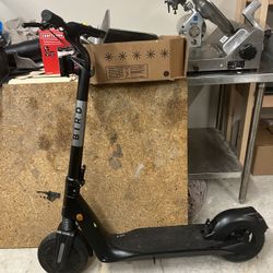 Bird Power Scooter