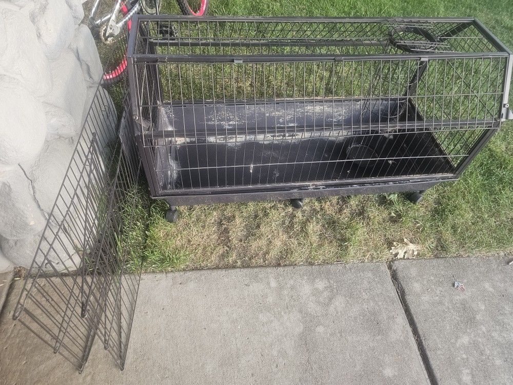 Guinea Pig Cage