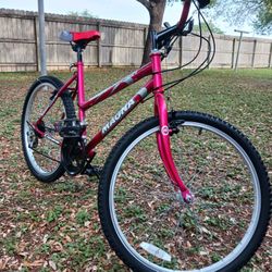 Bisicleta Rodada 24"