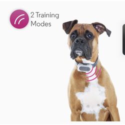 Motorola Wireless Pet Fence