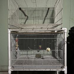 Bird Cages 