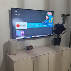 Sony Bravia 50” Model X690E