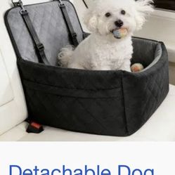 Dog Car 