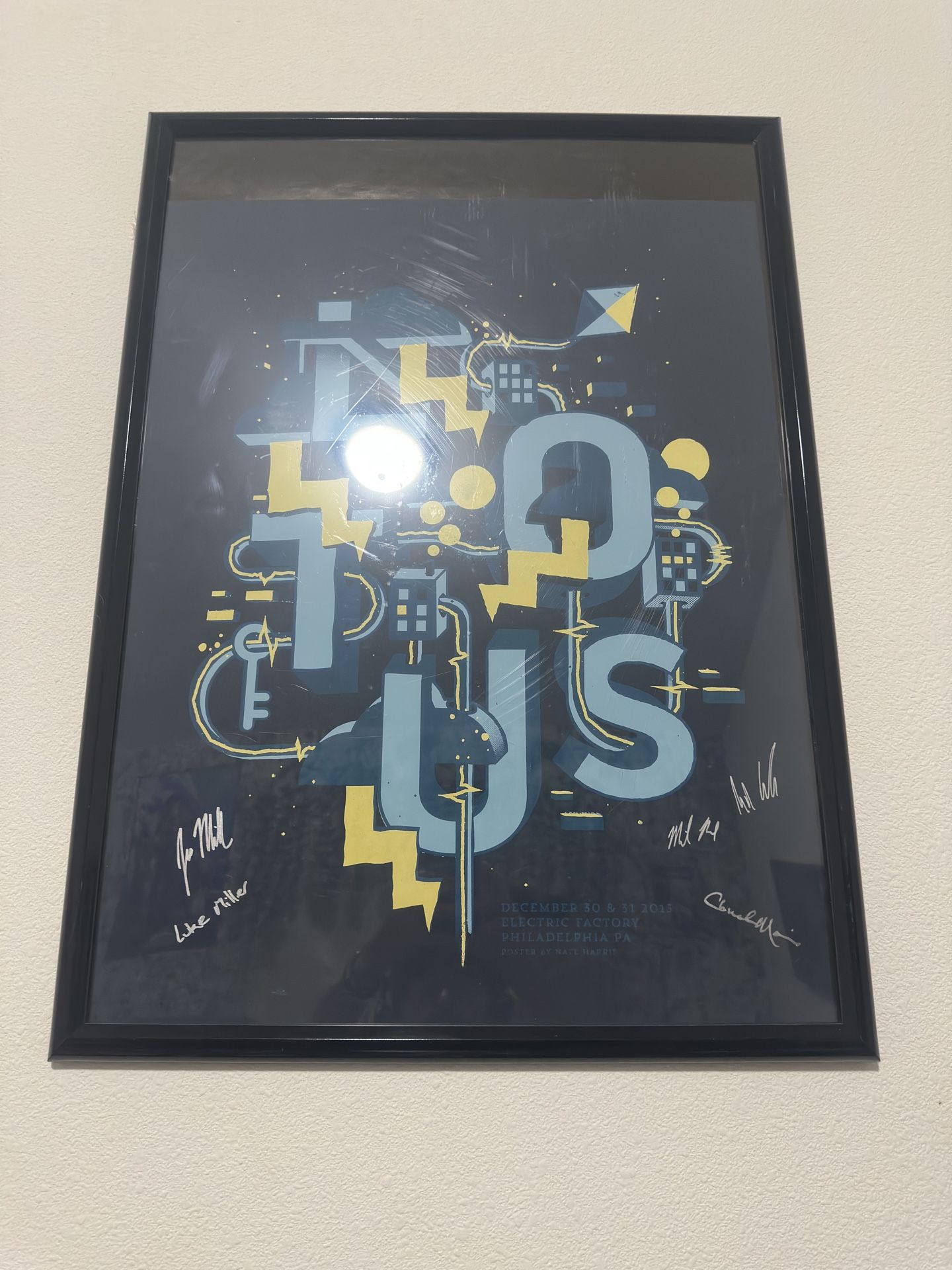 🎶 Rare Lotus Concert Poster