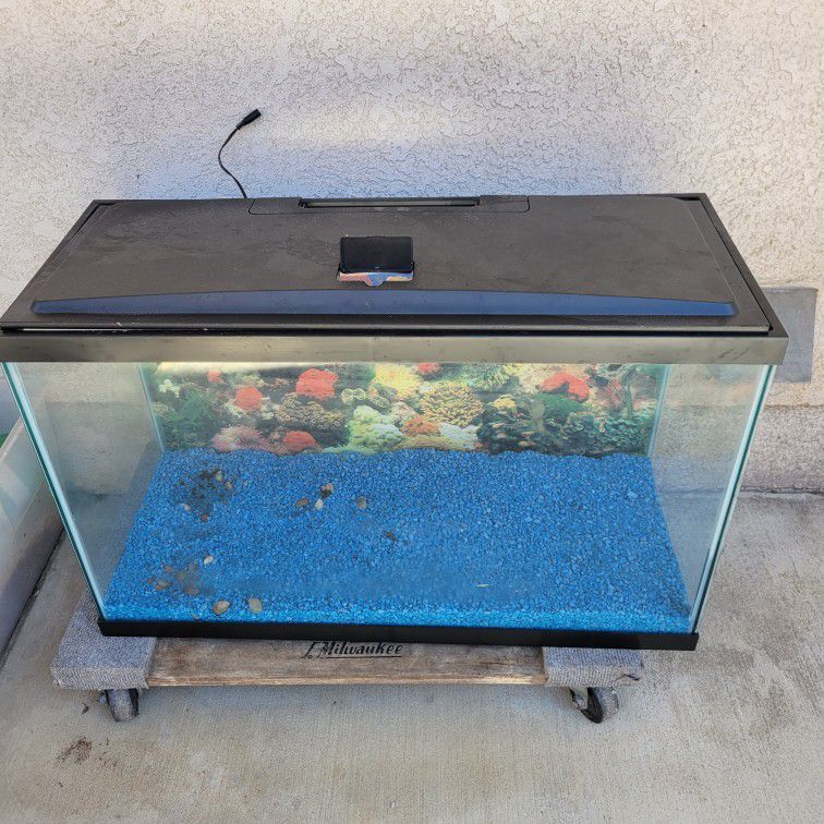 30 Gallon Fish Tank Aquarium Complete
