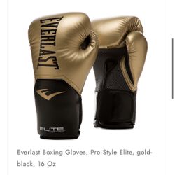 Everlast Boxing gloves 