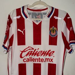 Chivas Jersey Authentic Brizuela 11