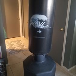 For Sale Punching Bag $130