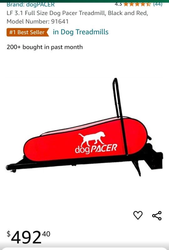 Full Size Dog Pacer Treadmill