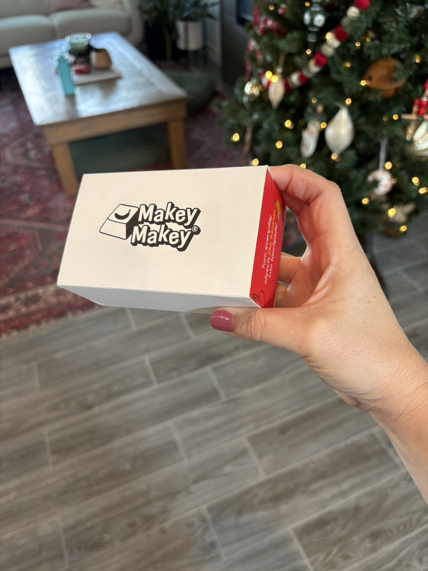 Makey Makey (STEM for kids)