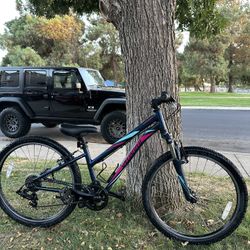 Specialized 24 Inch Bike 